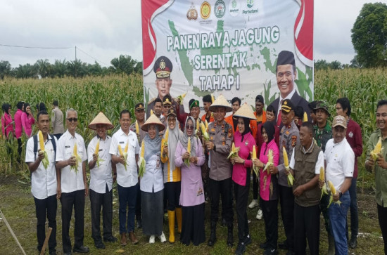 Panen Raya Jagung Serentak di Desa Karya Indah Kecamatan Tapung