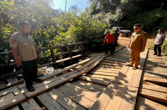 Bupati Kampar Tinjau Jembatan Kayu Rusak di Desa Lubuk Bigau, Kampar Kiri Hulu.